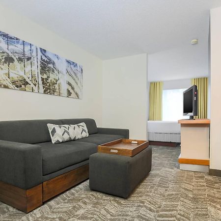 Springhill Suites By Marriott Houston Brookhollow Экстерьер фото