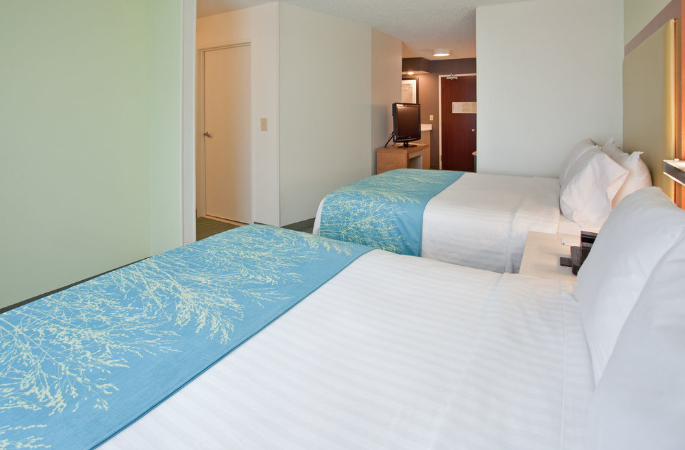 Springhill Suites By Marriott Houston Brookhollow Экстерьер фото